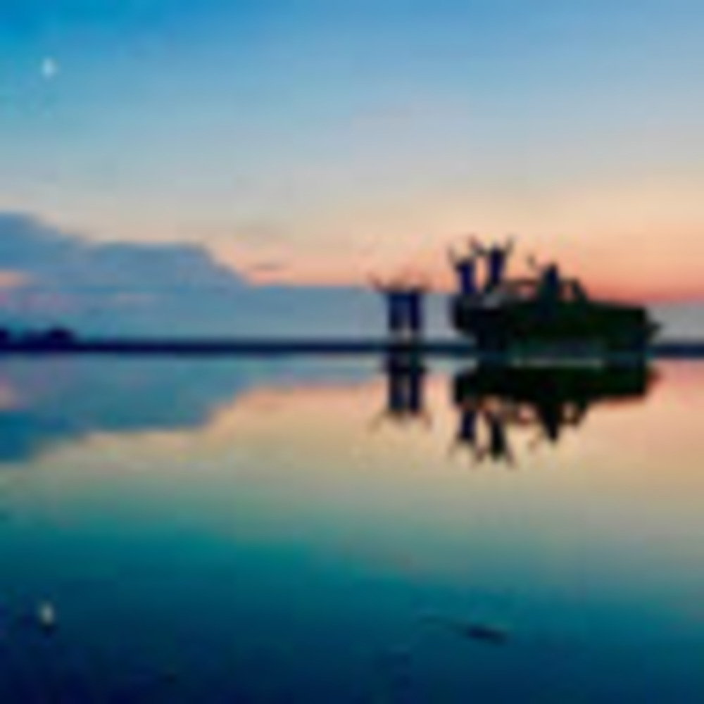 Meet your Posher, Riley